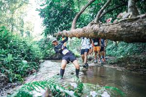 BIB: 
                            <button type="button" onclick="openModal(25443731)" class="btn btn-primary btn-sm float-right btn-popup" data-toggle="modal" data-target=".modal-high-quality">
                        <i class="fas fa-shopping-cart"></i> Add to Cart
                    </button>
                                            <button type="button" onclick="isThisMe(25443731, true)" class="btn btn-success btn-sm float-right btn-popup btn-isme hidden" data-toggle="tooltip" data-placement="bottom" title="นี่คือรูปของคุณใช่ไหม คลิกที่นี่เพื่อเอาเข้าอัลบั้ม">
                        <i class="fas fa-plus"></i> Add to album
                    </button>
                    <button type="button" onclick="isThisMe(25443731, false)" class="btn btn-warning btn-sm float-right btn-popup btn-isnotme hidden">
                        <i class="fas fa-ban"></i> Remove from album
                    </button>